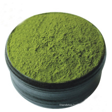 Organic Green Green  Matcha Tea Powder for latte